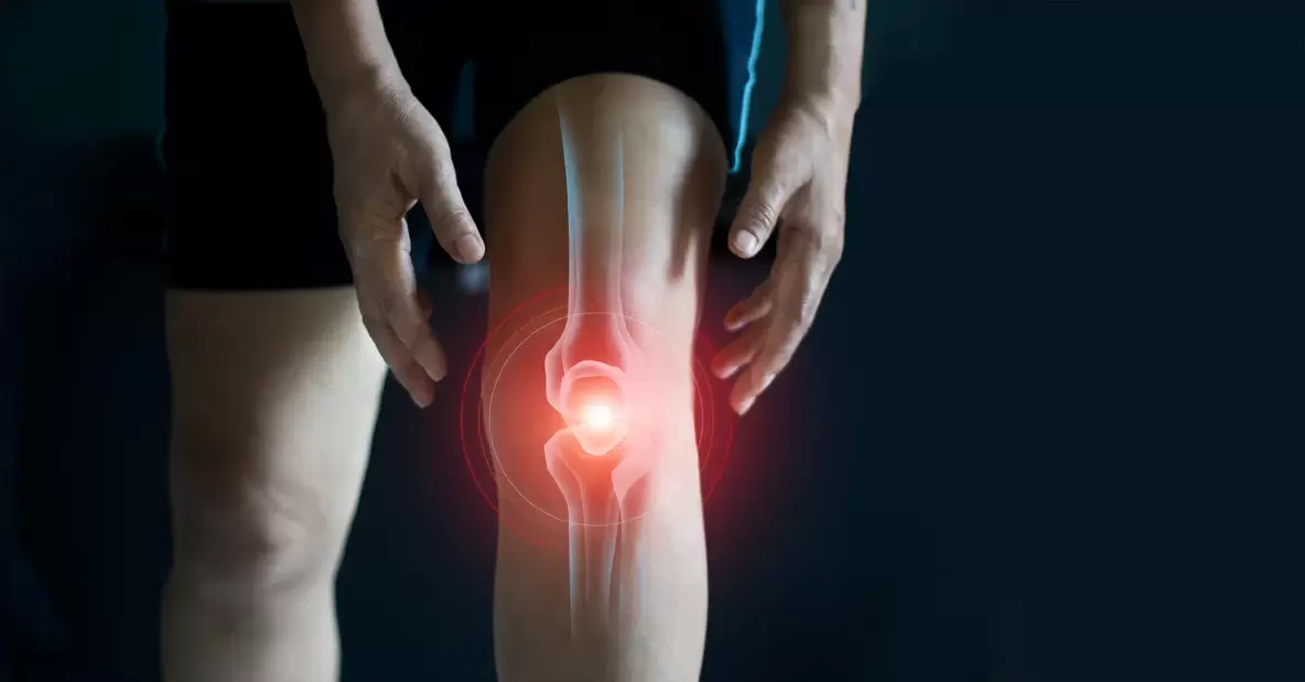 pain in the knee joint