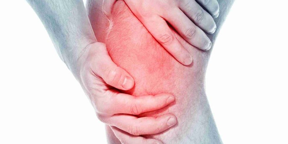Pain in a bent or straight knee is a symptom of articulation of the knee joint